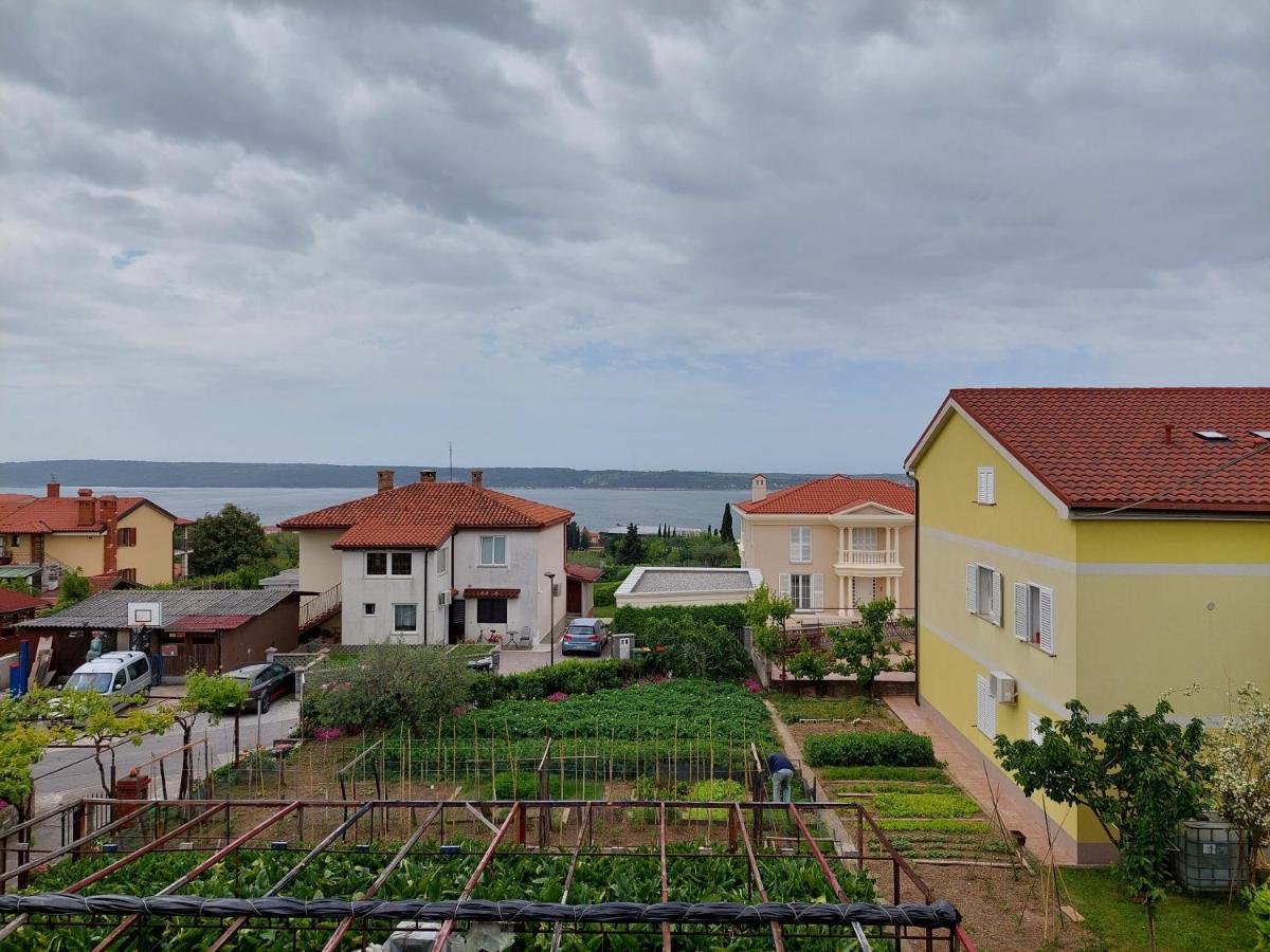 Apartma Marina 피란 외부 사진